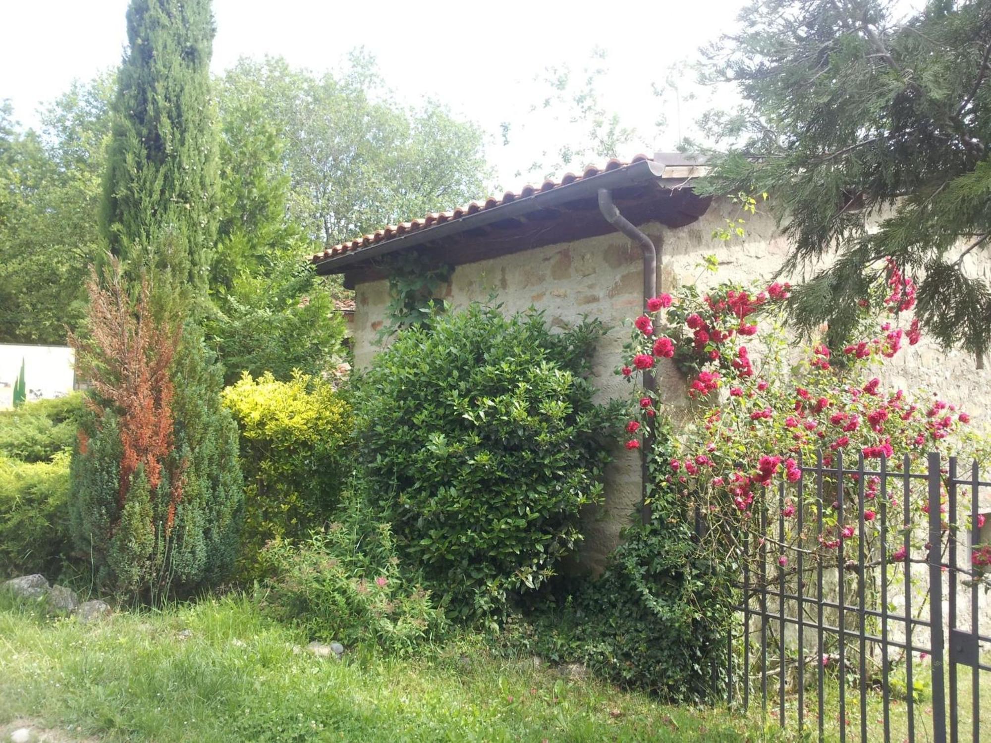Fattoria Il Praticino - Metato Villa Castelfranco di Sopra Dış mekan fotoğraf
